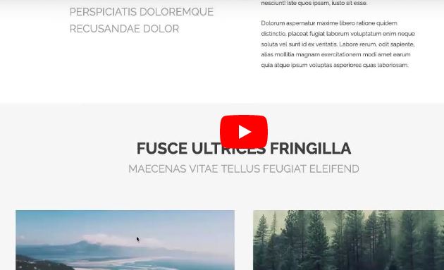 Flexbox